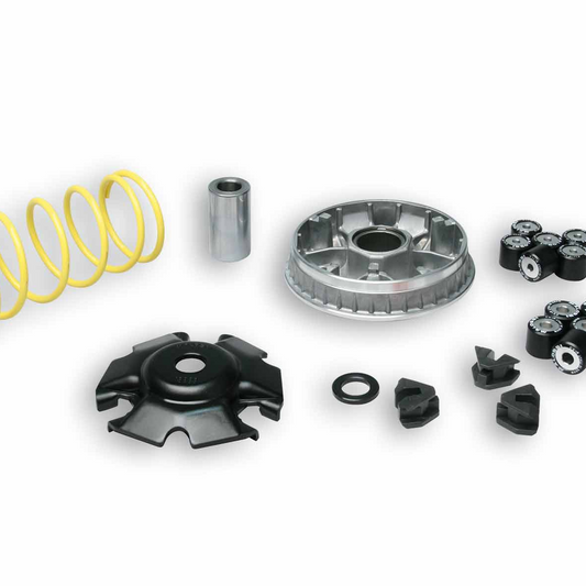 multivar 2000 variator