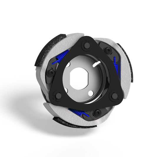 Maxi Delta Clutch Malossi voor Kymco Agility S 125