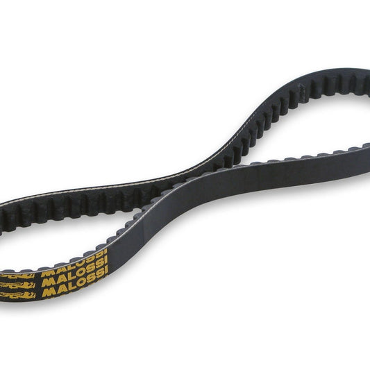 Malossi V-Snaar voor Piaggio Liberty 125