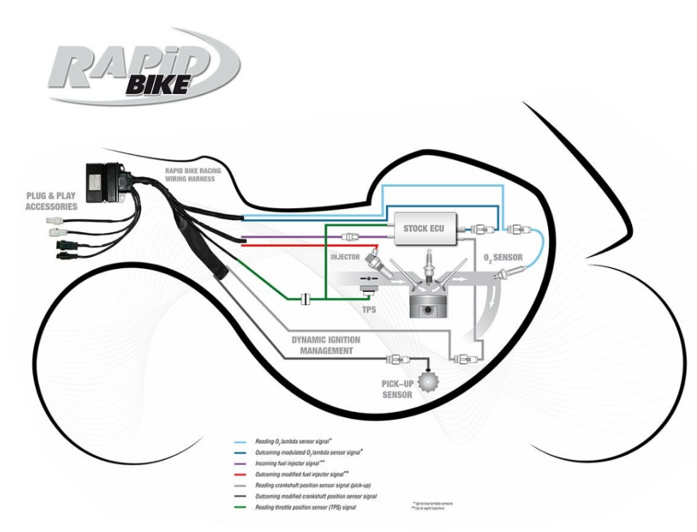 RAPID BIKE RACING CONTROL UNIT KIT BMW R 1200 RS LC 2017-2018