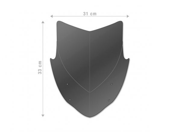 BARRACUDA SPORTS WINDSCREEN AEROSPORT KAWASAKI Z 900 2020