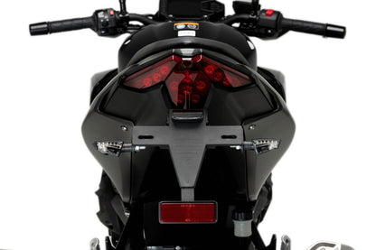 Kentekenplaathouder Puig Kawasaki Z500(SE) '24-