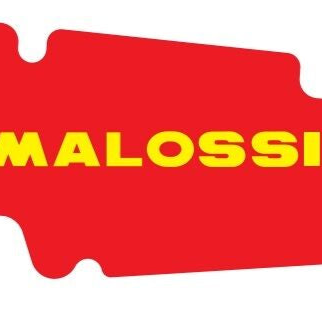 Luchtfilterelement Malossi Red Sponge | Vespa 4T