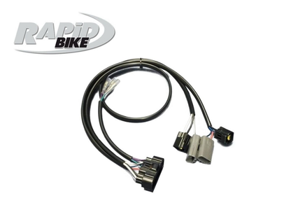 RAPID BIKE RACING CONTROL UNIT KIT BMW R 1200 RS LC 2017-2018
