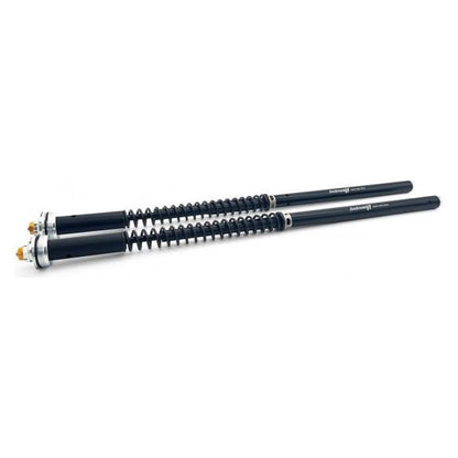 Andreani Evolution Hydraulisch Instelbare Cartridge Aprilia RS 660 (2020)