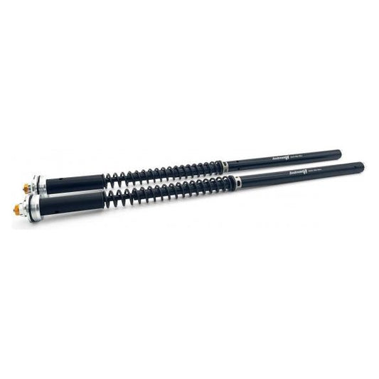 Andreani Evolution Hydraulisch Instelbare Cartridge Aprilia RS 660 (2020)